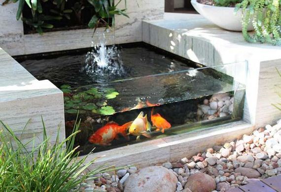 01-outdoor-fish-tank-pond-woohome