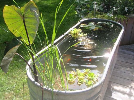 05-outdoor-fish-tank-pond-woohome