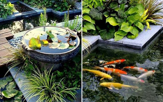 16-outdoor-fish-tank-pond-woohome