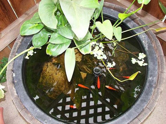 18-outdoor-fish-tank-pond-woohome
