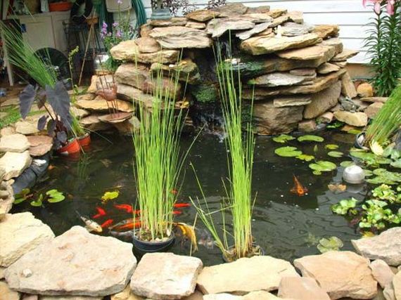 21-outdoor-fish-tank-pond-woohome