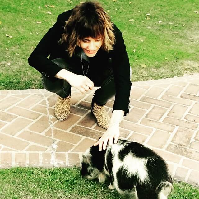 50 Hot And Sexy Katherine Moennig Photos 12thBLOG