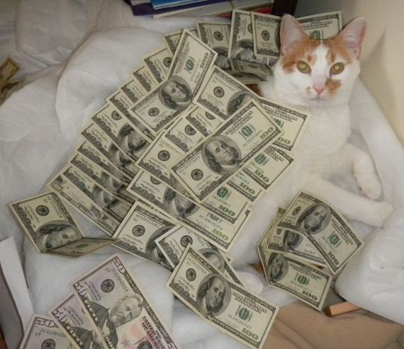 d1046