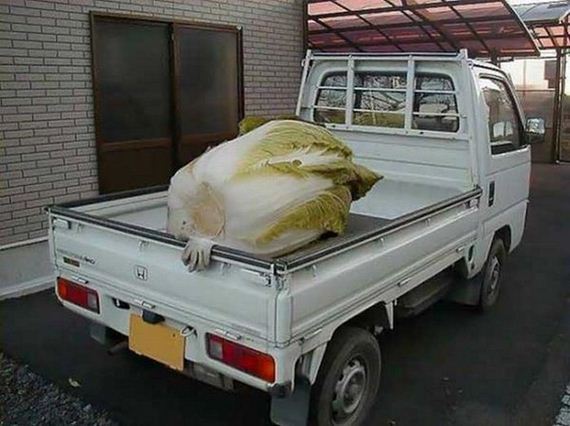 d60