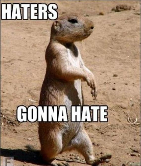Epic "Haters Gonna Hate" Memes.