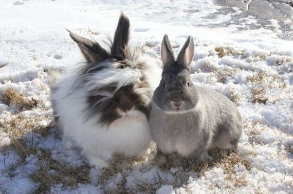 d739
