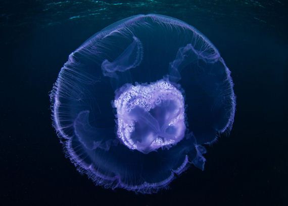 d843