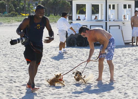 gallery_enlarged-simon-cowell-racist-dogs
