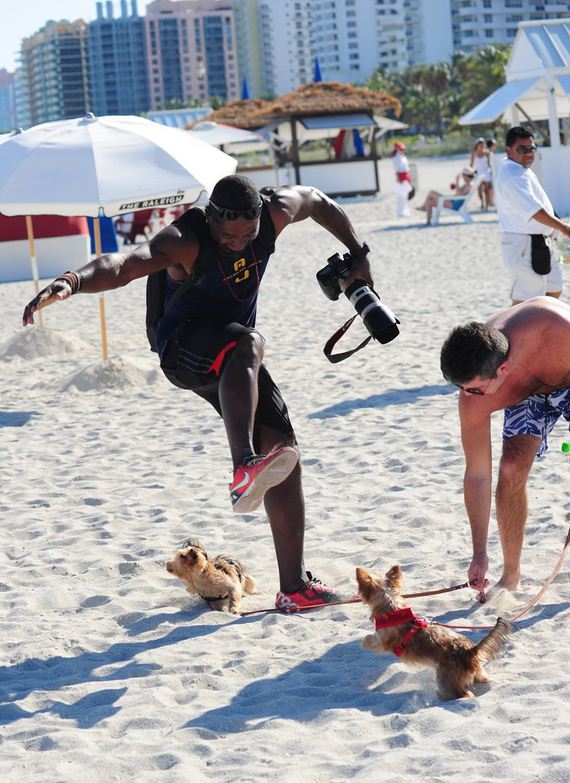 gallery_enlarged-simon-cowell-racist-dogs