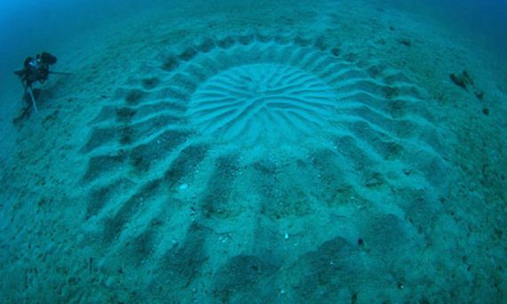 Mysteries of the Deep - 12thBlog Famous Crop Circle