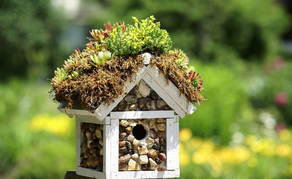 17-Make-Birdhouses